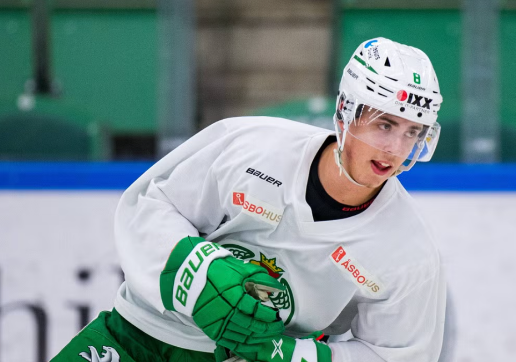 Samuel Johannesson redo för Frölunda: vem han är, karriär, meriter och matchstatistik