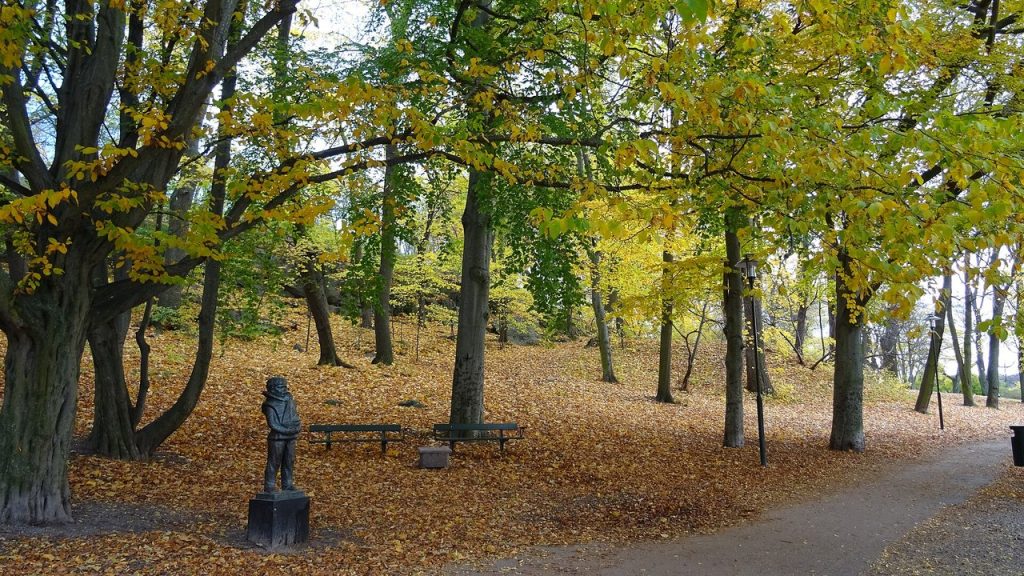 Nytt i november 2026: det här ändras – hanteringsavgift på nätpaket, räntebesked och kvarskatt Höstlöv och kala träd i Nobelparken i Stockholm i november